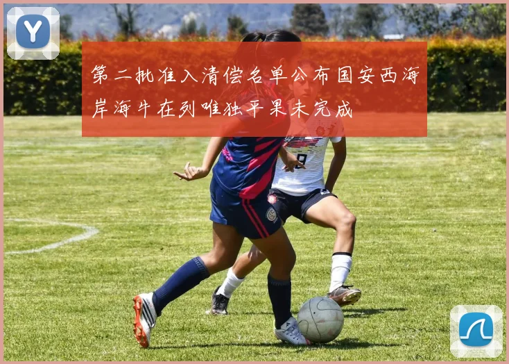 第二批准入清偿名单公布国安西海岸海牛在列唯独平果未完成