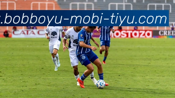 BOB体育平台生态图